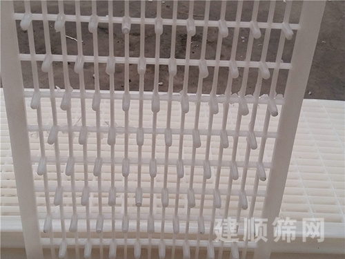 過(guò)濾板圖片3 過(guò)濾板圖片3